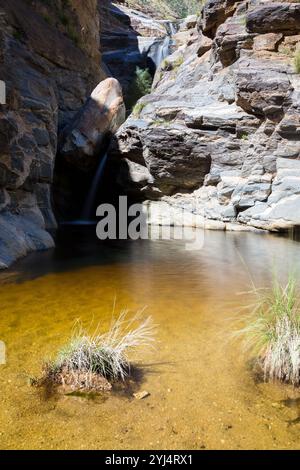 Sieben Wasserfälle in Bear Canyon, Pusch Ridge Wilderness, Arizona Stockfoto