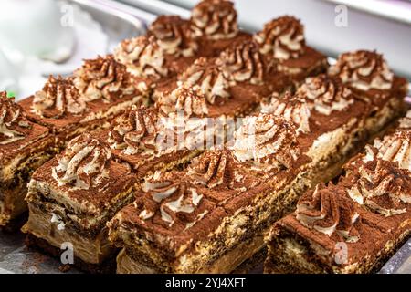 Hausgemachte italienische Tiramisu-Kuchenscheiben mit Schlagsahtrosetten und Kakaopulver, die perfekte Schichten zeigen Stockfoto