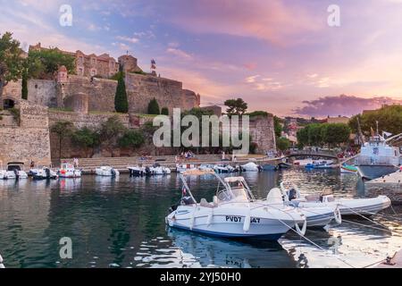 Blick auf Port de Collioure, Pyrenäen Orientales, Roussillon, Occitanie, Frankreich, Europa Stockfoto