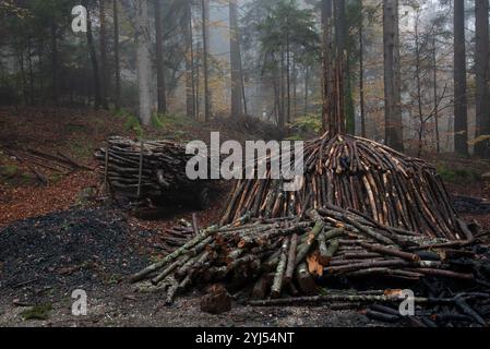 Holzkohleflammen in nebeliger Waldlage mit gestapeltem Brennholz Stockfoto