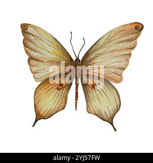 Schmetterling isolieren. Aquarellabbildung. Verwendung in Postkarten, Textilien, Tischdecken, Körben, Handtüchern, Bücher, Broschüren, Zeitschriften, Artikel, Tapeten. Stockfoto