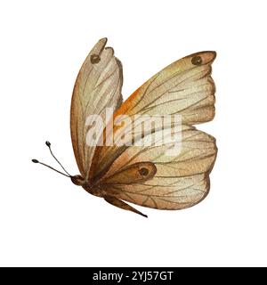 Schmetterling isolieren. Aquarellabbildung. Verwendung in Postkarten, Textilien, Tischdecken, Körben, Handtüchern, Bücher, Broschüren, Zeitschriften, Artikel, Tapeten. Stockfoto