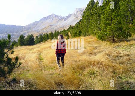 Wandern im Komovi Naturpark, Montenegro: Eine weibliche Touristin steht auf einer Waldlichtung mit gelbem Gras und blickt auf den malerischen Blick auf die Berge. Stockfoto