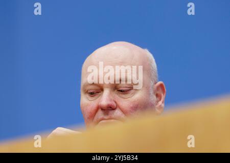 Berlin, Deutschland. November 2024. Volkswirtschaftslehre, Prof. Dr. Achim Truger, Berlin, 12. November 2024. Quelle: dpa/Alamy Live News Stockfoto