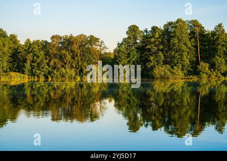 Ruhiger See umgeben von Wald, Reflexion von Bäumen auf der Wasseroberfläche. Klarer, sonniger Tag. Fototapete. Schönheit der Natur. Stockfoto