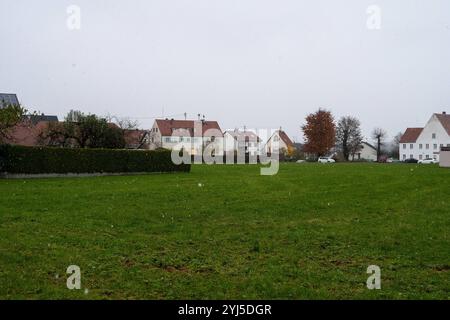 Langweid, Bayern, Deutschland - 13. November 2024: Symbolisches Bild von Wetterwechsel und Schneefall in Bayern. Niederschlag auf einer Wiese in einem Wohngebiet *** Symbolbild Wetterumschwung und Schneefall in Bayern. Niederschlag auf einer Wiese in einem Wohngebiet Stockfoto