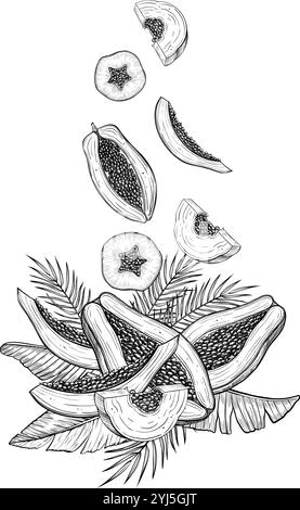 Vektor-Illustration von Papaya-Früchten mit Palmblättern in linearer Art. Lebensmittelätzung von Pfotenpflanzen mit schwarzer Tinte. Umrisszeichnung eines exotischen tropischen Desserts. Skizze für Produktionslabel. Stock Vektor