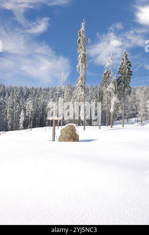 Winter im Bayerischen Wald in Bretterschachten Cross Country Skigebiet, Arber Region, Bayern, Deutschland Stockfoto
