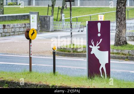 Verkehrsschild auf der Straßenseite - Caution Deer Crossing - in Nara, Japan. Stockfoto