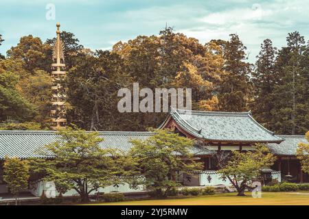 Malerischer Blick vom Todaiji Buddhistischen Tempelkomplex in Nara, Japan. Stockfoto