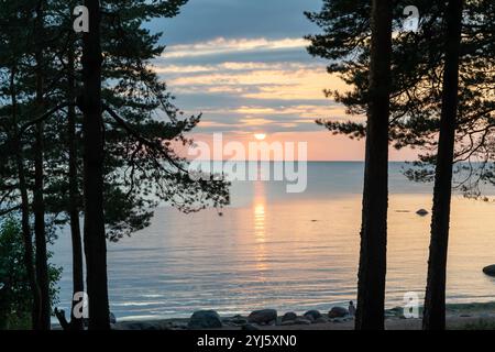 Ein wunderschöner Sonnenuntergang spiegelt sich auf ruhigem Wasser, umgeben von hohen Bäumen. Stockfoto