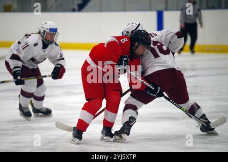 Dumfries, Schottland, 27. Januar 2023. Irmak Gerez spielte für die Türkei gegen Lettland während eines Spiels in der IIHF Eishockey U18 Women’s World Championship, Division II, Gruppe A Turnier im Dumfries Ice Bowl. Quelle: Colin Edwards Stockfoto