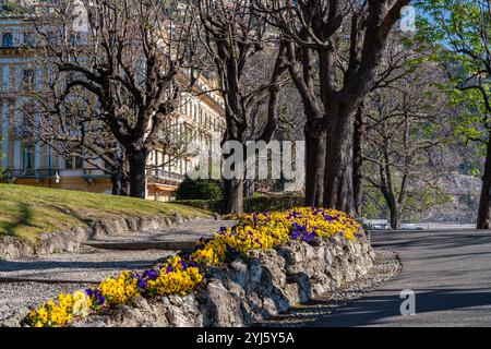 Blumen auf der Fahrt zum Hotel Villa d'Este am Ufer des Comer Sees, Italien bei Tageslicht Stockfoto