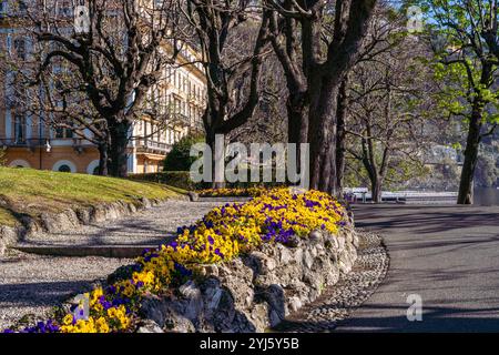 Blumen auf der Fahrt zum Hotel Villa d'Este am Ufer des Comer Sees, Italien bei Tageslicht Stockfoto