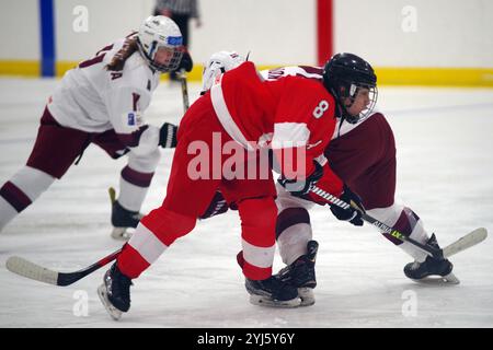 Dumfries, Schottland, 27. Januar 2023. Irmak Gerez spielte für die Türkei gegen Lettland während eines Spiels in der IIHF Eishockey U18 Women’s World Championship, Division II, Gruppe A Turnier im Dumfries Ice Bowl. Quelle: Colin Edwards Stockfoto