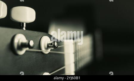 Ukulele-Kopfstock und Griffbrett aus nächster Nähe. Schwarzweißfoto. Stockfoto