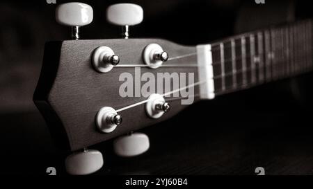 Ukulele-Kopfstock und Griffbrett aus nächster Nähe. Schwarzweißfoto. Stockfoto