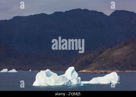 Iceberg, Qaqortog, Gemeinde Kujalleq, Grönland, Königreich Dänemark Stockfoto