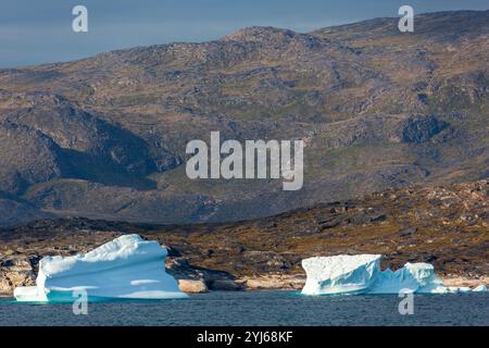 Iceberg, Qaqortog, Gemeinde Kujalleq, Grönland, Königreich Dänemark Stockfoto