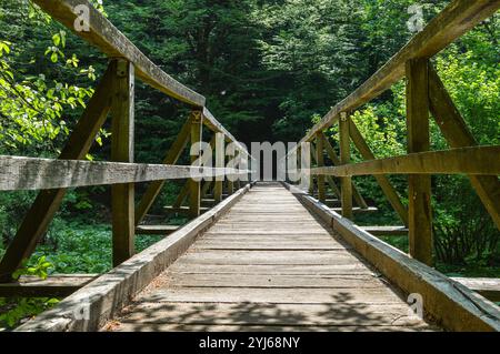 Hölzerne Brücke über den Kamacnik-Fluss im Kamacnik-Canyon. Gorski kotar, Kroatien Stockfoto