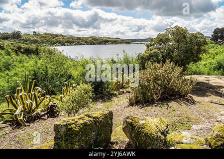 Frühlingsnatur, Seenlandschaft. Povoa e Meadas Damm in Castelo de Vide in Alentejo Portugal. Stockfoto