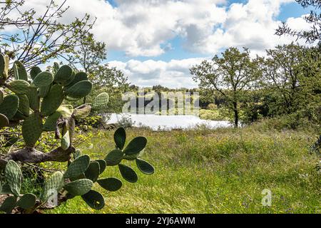 Frühlingsnatur, Seenlandschaft. Povoa e Meadas Damm in Castelo de Vide in Alentejo Portugal. Stockfoto