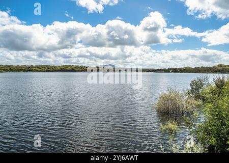 Frühlingsnatur, Seenlandschaft. Povoa e Meadas Damm in Castelo de Vide in Alentejo Portugal. Stockfoto