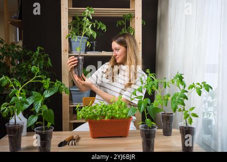 Hobbyist im Garten, der Tomatensämlinge untersucht, die in Plastikbechern wachsen, um ein gesundes Wachstum für einen blühenden Garten zu gewährleisten Stockfoto