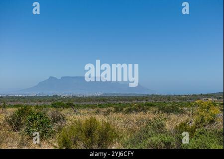Der Blick auf den Tafelberg vom Blaauwberg Nature Reserve, Kapstadt, Südafrika. Blaauwberg ist ein wichtiger Ort für Cape Flats Sand Fynbos Arten Stockfoto