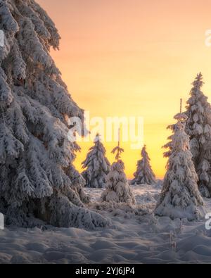 Winteruntergang im belgischen Naturschutzgebiet hohes Venn Stockfoto