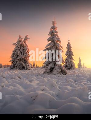 Winteruntergang im belgischen Naturschutzgebiet hohes Venn Stockfoto