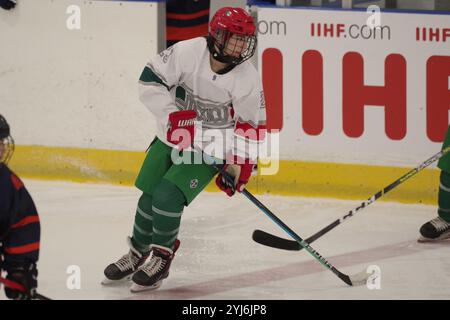 Dumfries, Schottland, 27. Januar 2023. Daniela Cuena spielt für Mexiko gegen die Niederlande während eines Spiels in der IIHF Eishockey U18 Women’s World Championship, Division II, Gruppe A Turnier im Dumfries Ice Bowl. Quelle: Colin Edwards Stockfoto