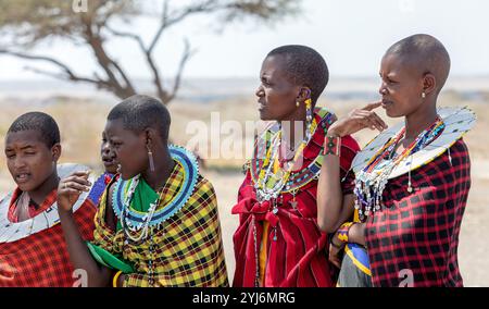 Maasai-Frauen mit traditioneller Kleidung und modernen Ergänzungen Ngorongoro Conservation Area, Tansania, Ostafrika Stockfoto
