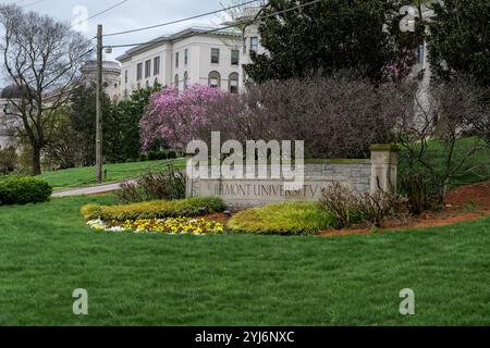 NASHVILLE, TN - 15. März 2024: Schild der Belmont University mit umliegenden Blumen und Sträuchern und grünem Rasen. Stockfoto