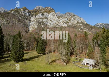 Hölzerne Berghütte auf einer grünen Wiese, umgeben von Wald und Bergen im Herbst Stockfoto