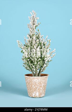Kleiner gefälschter dekorativer Nadelbaum mit Schnee im Topf auf blauem Hintergrund Stockfoto