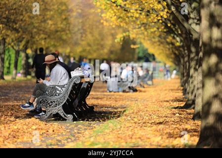 Herbstfarben auf dem Broad Walk im Regents Park, London, Großbritannien Stockfoto