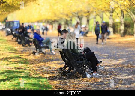 Herbstfarben auf dem Broad Walk im Regents Park, London, Großbritannien Stockfoto