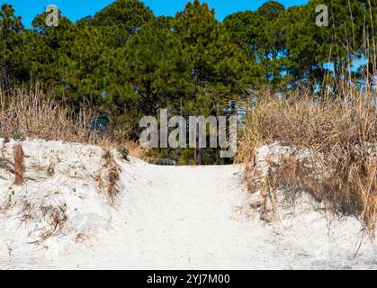 Ein malerischer Sandweg schlängelt sich durch hohe Gräser und führt zu einem friedlichen Strand unter blauem Himmel auf Hilton Head Island. Stockfoto