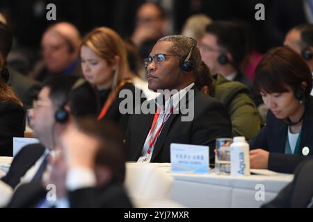 Sao Paulo, Brasilien. November 2024. Gäste nehmen am 12. November 2024 am Global South Local Currency Cooperation Forum in Sao Paulo, Brasilien, Teil. Quelle: Lucio Tavora/Xinhua/Alamy Live News Stockfoto