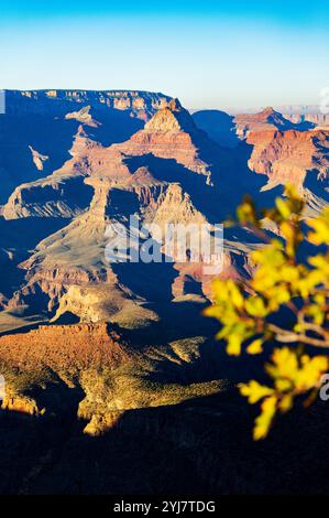 Warmes Licht am späten Tag; Grandview Point; Grand Canyon National Park; Arizona: USA Stockfoto