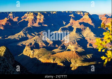 Warmes Licht am späten Tag; Grandview Point; Grand Canyon National Park; Arizona: USA Stockfoto