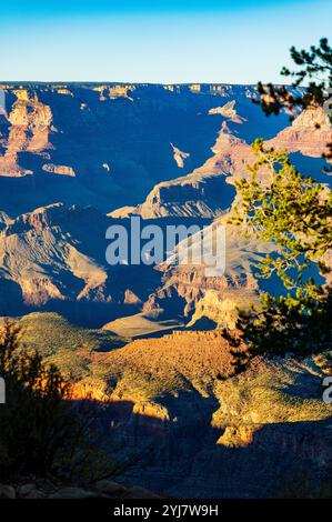 Warmes Licht am späten Tag; Grandview Point; Grand Canyon National Park; Arizona: USA Stockfoto