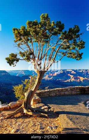 Warmes Licht am späten Tag; Grandview Point; Grand Canyon National Park; Arizona: USA Stockfoto