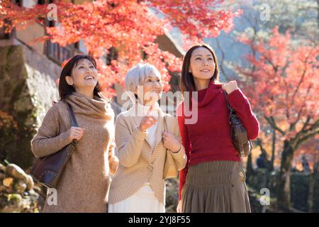 Drei Generationen von Frauen genießen Herbstlaub-Peeping Stockfoto