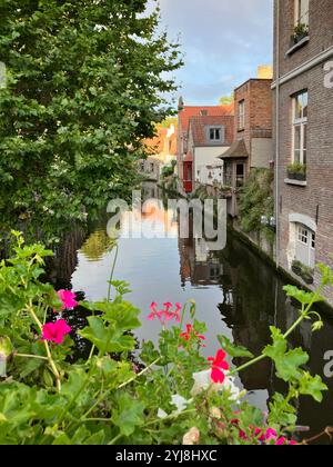 Historisches Brügge Ruhige Canal Reflections. Ein ruhiger Kanal in der historischen Stadt Brügge, Belgien. Stockfoto