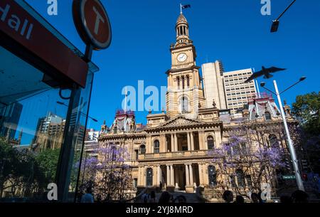 Das Rathaus von Sydney in der George Street. Sydney, NSW, Australien Stockfoto