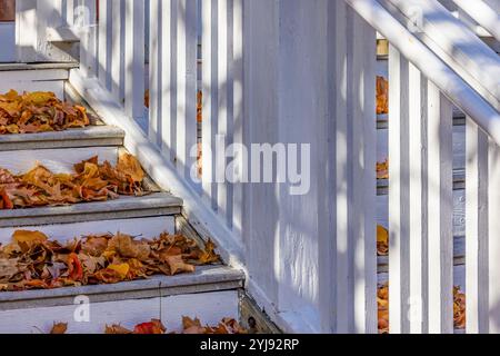 Gefallene Blätter auf Treppen einer Kirche in Traverse City, Michigan, USA Stockfoto