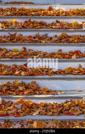 Gefallene Blätter auf Treppen einer Kirche in Traverse City, Michigan, USA Stockfoto