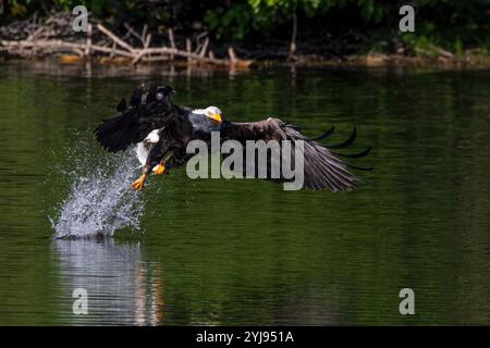 Gefangenen Fisch Stockfoto